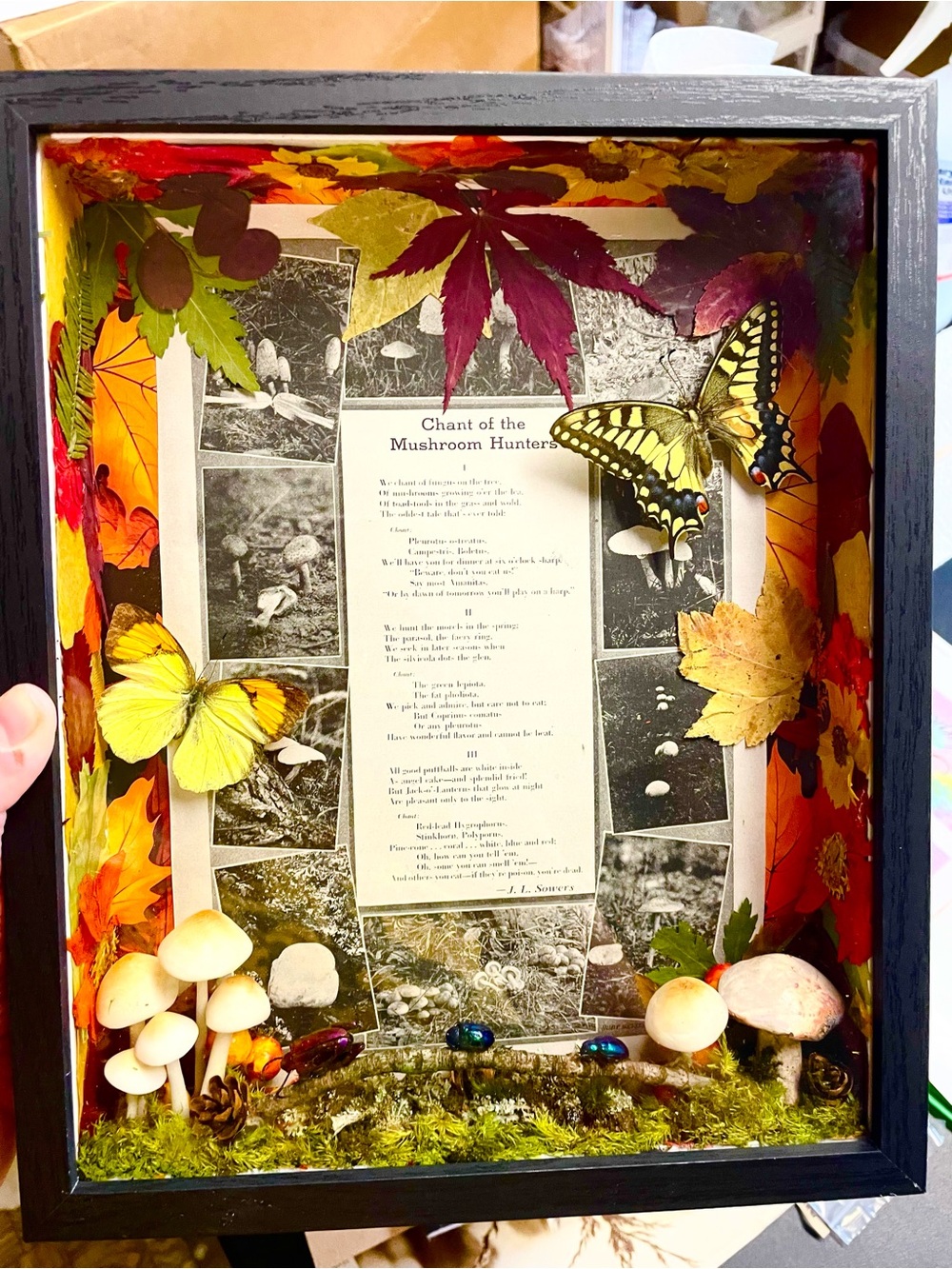 Handcrafted Autumn Butterfly Beetle Mushroom Shadow Box